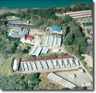 空中から見た愛犬ランド