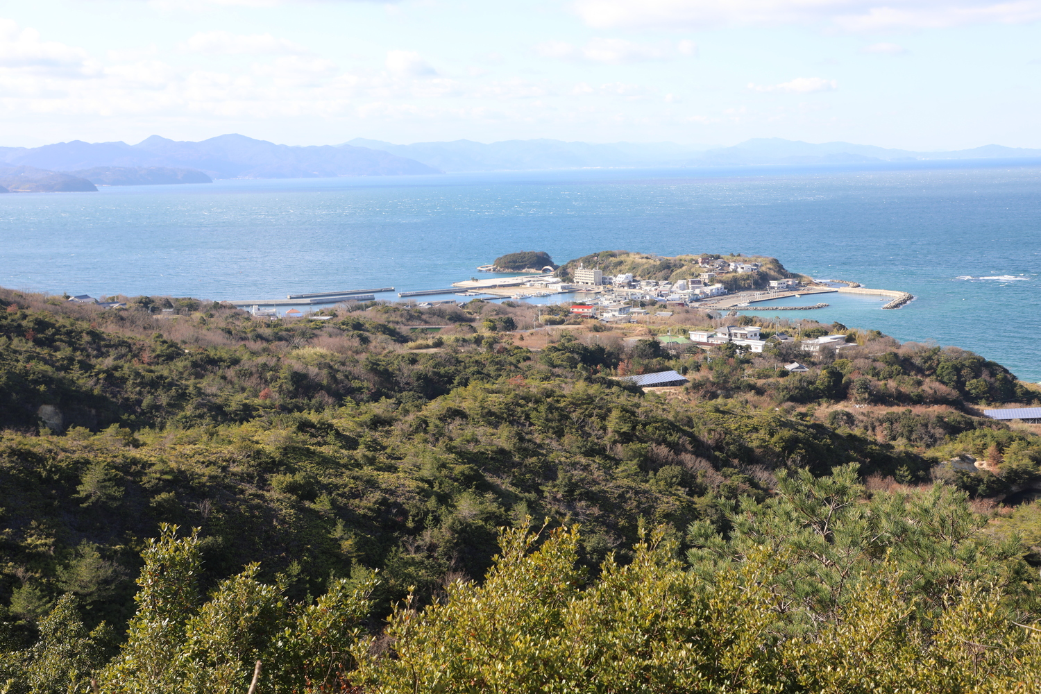 ペットホテル、ドッグラン施設全景