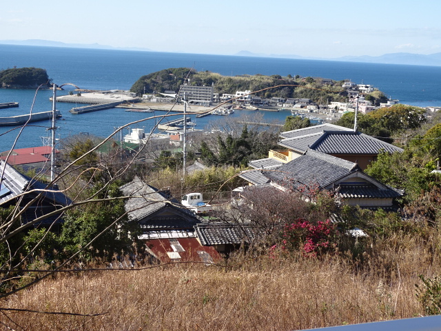 愛犬ランドはペットホテルをメインとした宿泊施設です。