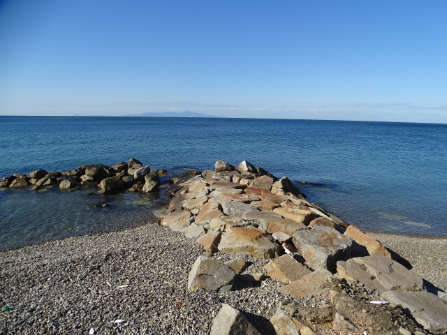 愛犬ランドはペットホテルをメインとした宿泊施設です。