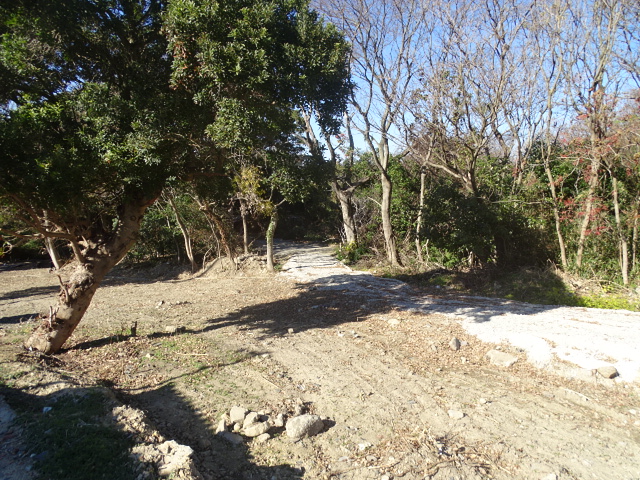 愛犬ランドが生れ変わります。